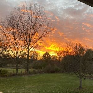 Meet your Posher, Cpa